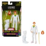 Boneco-Articulado---Marvel---Legends-Series---15-Cm---Super-Villains---Hasbro-1