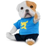 Cachorrinho---Filhotinhos-Geek---Luccas-Neto---Roma-Jensen-2