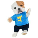 Cachorrinho---Filhotinhos-Geek---Luccas-Neto---Roma-Jensen-4
