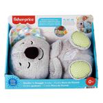 Pelucia---Fisher-Price---Coala---Hora-de-Dormir---20Cm-0