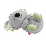 Pelucia---Fisher-Price---Coala---Hora-de-Dormir---20Cm-3