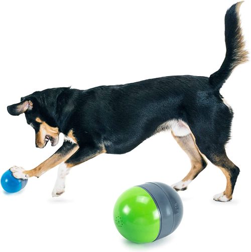 PetSafe Brinquedo Eletrônico para Cães com Ruídos 2 Unidades
