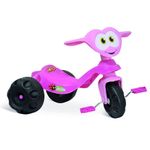Triciclo-Novo-Zootico-Joaninha_01-Bandeirante