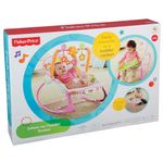 Cadeira-Crescendo-Comigo-Meninas---Fisher-Price