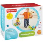 Caixa-Empurra-Tartaruga-Fisher-Price
