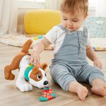 Cachorrinho-Engatinha-Comigo---Fisher-Price---Ensina-e-Desenvolve---Branco-6