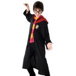 Fantasia-Infantil---Harry-Potter---Sulamericana---23396