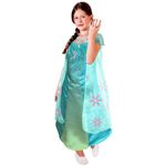 5032349-1120-Fantasia-Classica-Disney-Frozen-Elsa-Fever-Rubies