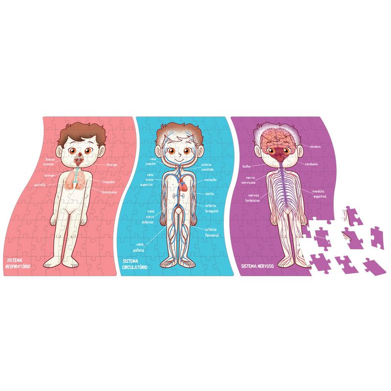 Quebra-Cabeca-Conhecendo-o-Corpo-Humano---240-Pecas---Toyster-2