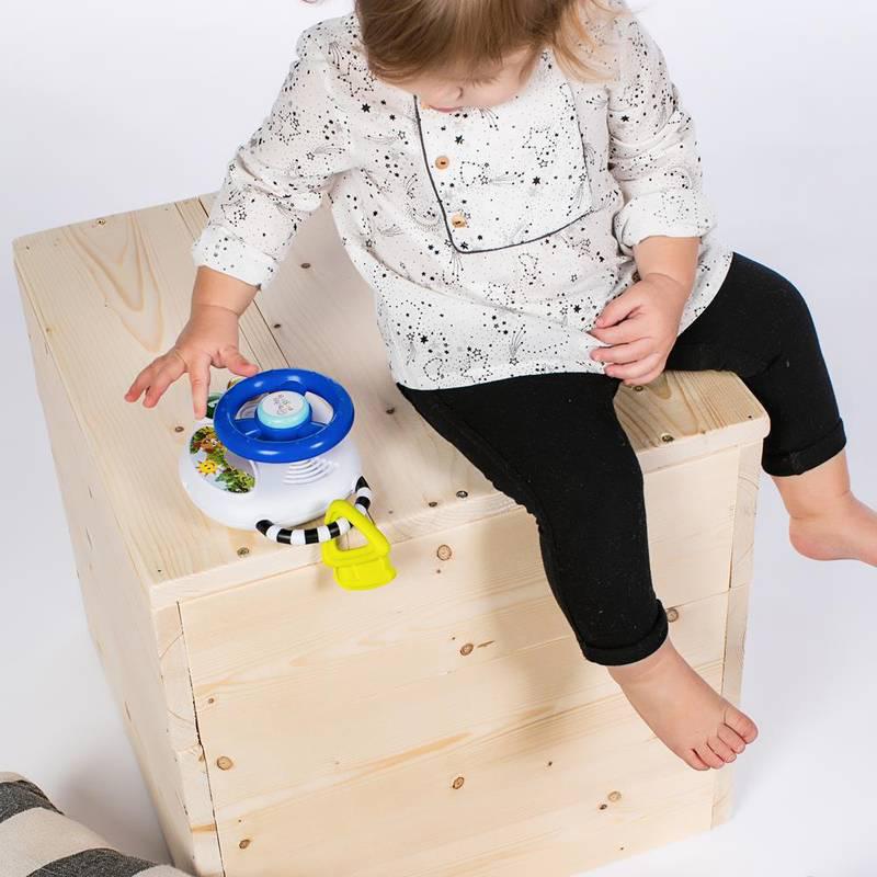 Brinquedo-Infantil-Educativo---Volante-Musical---Baby-Einstein---Brasbaby-3