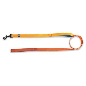 Rocabar dog leash