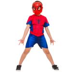 Fantasia-Disney-Marvel-Homem-Aranha-Rubies