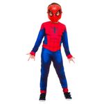 Fantasia-Disney-Marvel-Homem-Aranha-Rubies