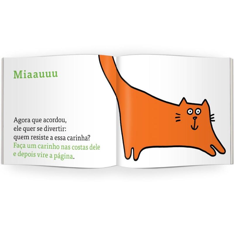 Livro-Infantil---O-Livro-Gato---Edicao-1---Catavento-2