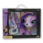 pelucia-com-acessorios-littlest-pet-shop-conjunto-de-veterinaria-zoe-trent-fun-7921-8_Embalagem