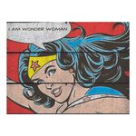 Placa-de-Madeira-Decorativa---DC-Comics---Mulher-Maravilha---36x50-Cm---Metropole