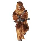 Figura-Articulada---30-Cm---Disney---Star-Wars---Star-Wars-Forces-of-Destiny---Chewbacca---Hasbro-Frente