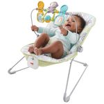 Cadeirinha-de-Balanco---Sons-para-Relaxar---Fisher-Price