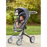 mobile-passeio-com-panda-fisher-price_Detalhe1