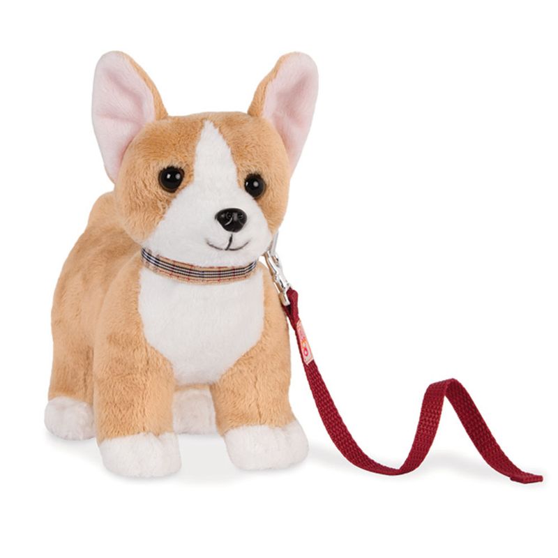 Pet---Our-Generation---Corgi