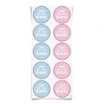Acessorios-para-Festa---Adesivo-Decorativo---Redondo---Cha-Revelacao---Azul-e-Rosa---30-Un---Cromus