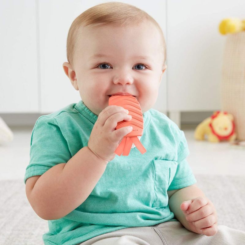 conjunto-de-atividades-meu-primeiro-sushi-fisher-price-FXC06_Detalhe4