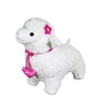 image-b95142d39c7443fabb3792023b2dca2a