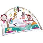 ginasio-de-atividades-2-em-1-gymini-princess-tales-tiny-love-IMP01566_frente