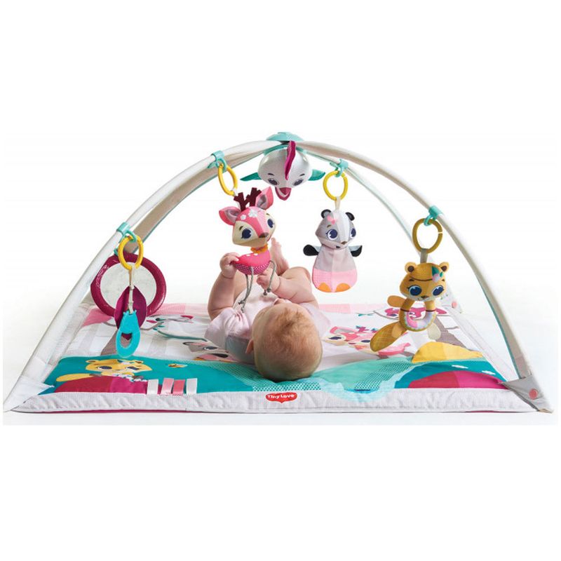 ginasio-de-atividades-2-em-1-gymini-princess-tales-tiny-love-IMP01566_detalhe1