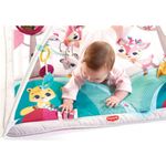 ginasio-de-atividades-2-em-1-gymini-princess-tales-tiny-love-IMP01566_detalhe3