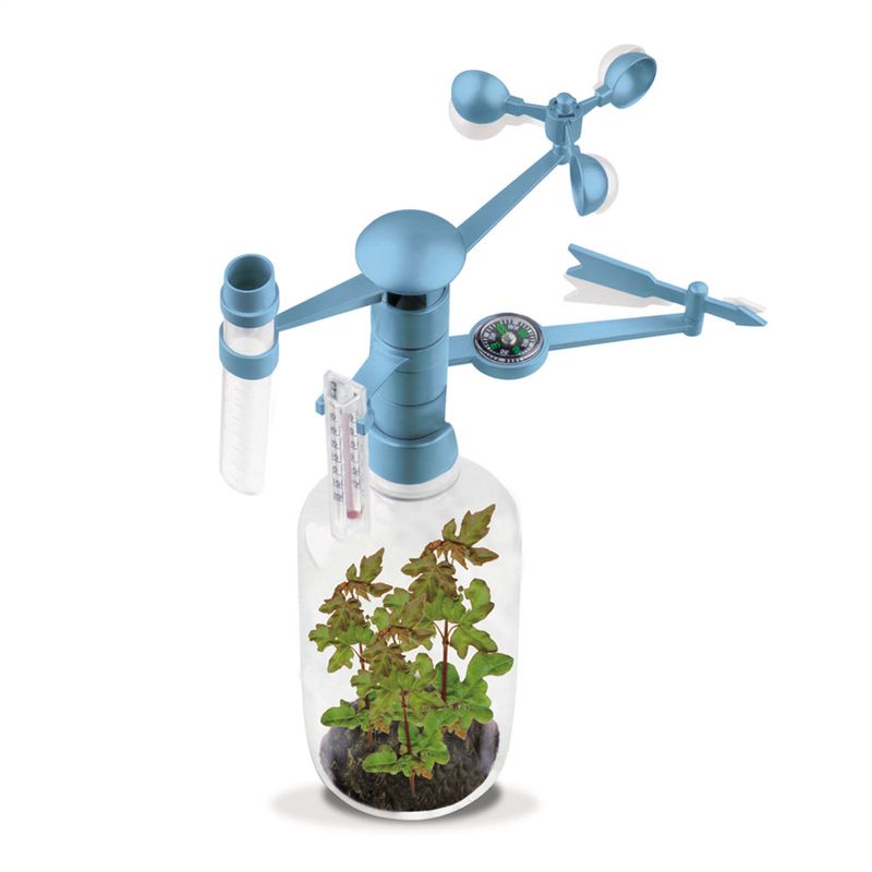 steam-est-meteorologica-5090594_frente