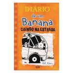 diar-ban-v9-caindo-est-9788576838234_Frente