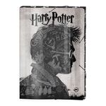 pasta-aba-com-elastico-33x23-cm-harry-potter-cinza-dac-2979_Frente