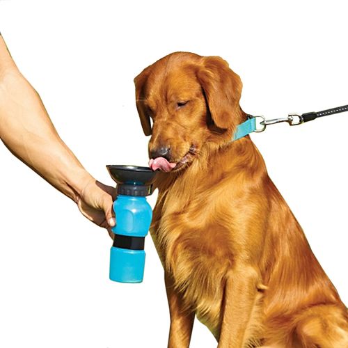 Bebedouro para Cachorro Pet Squeeze Portátil para Viagem
