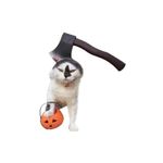 image-4a728ed9d0d944e9aed114ebe6db0d2a
