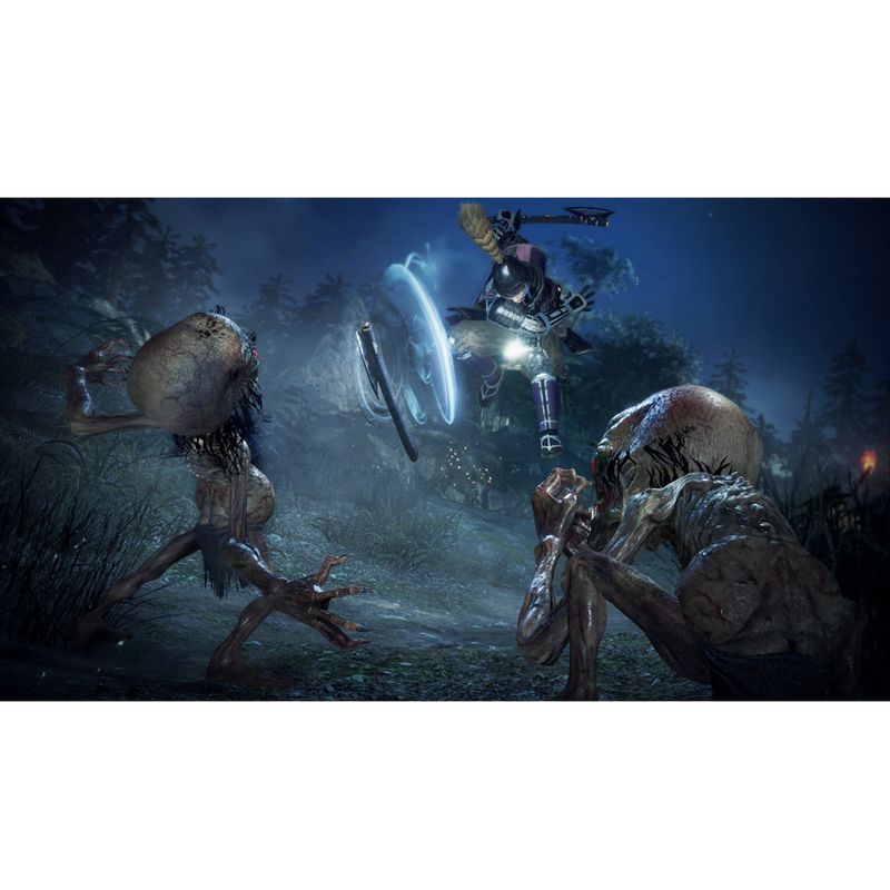6NIOH-2-PS4