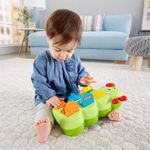 lagarta-de-atividades-fisher-price-GCM80_detalhe2