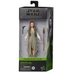 Boneca-Articulada---Star-Wars-The-Black-Series---O-Retorno-de-Jedi---Princesa-Leia---15cm---Hasbro-1