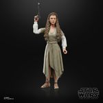 Boneca-Articulada---Star-Wars-The-Black-Series---O-Retorno-de-Jedi---Princesa-Leia---15cm---Hasbro-6