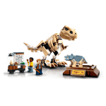 1002304824_5