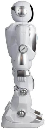 image-65ebee9a29d842a1bec73c83b3cb9477