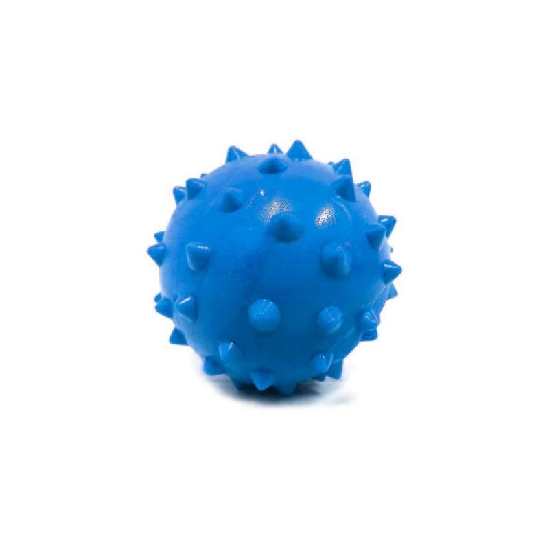 image-c3d3253b1ada40e2a86fd5c41788444e