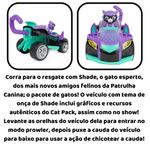 image-b94fbf479d72473d9473b7a2361a299a