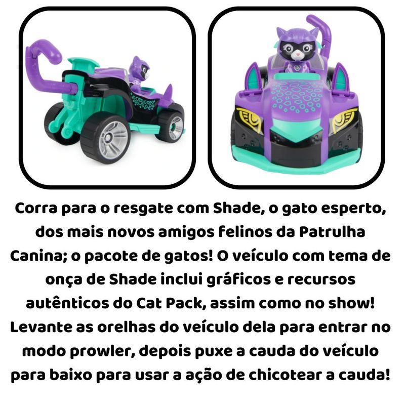 image-b94fbf479d72473d9473b7a2361a299a