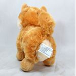 image-a8e8027a02ce48a4addd2af97b57426f
