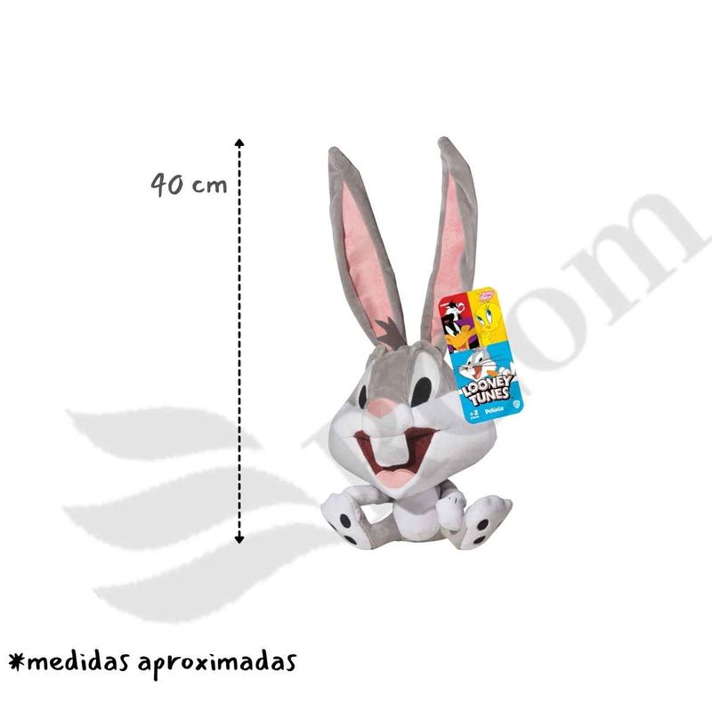 image-a45feeca712f483baa82e56d23eaf100
