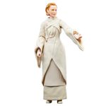 Boneca---Disney---Star-Wars-The-Black-Series---Senadora-Mon-Mothma---Colecionavel---Hasbro-0