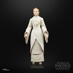 Boneca---Disney---Star-Wars-The-Black-Series---Senadora-Mon-Mothma---Colecionavel---Hasbro-6
