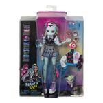 Boneca-Articulada-com-Acessorios---Monster-High---Frankie-Stein---Mattel-1