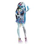 Boneca-Articulada-com-Acessorios---Monster-High---Frankie-Stein---Mattel-2